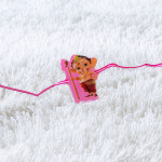 Lovely Bal Ganesh Kids Rakhi