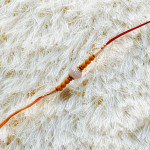 Pearls and Beads Work Fancy Rakhi