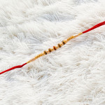 Pearls with AD and Beads Rakhi