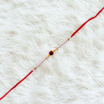 Precious Pearl and Rudraksh Rakhi for Brother